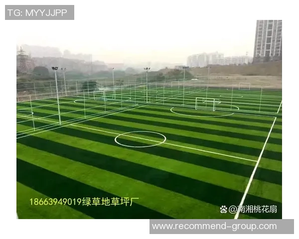 山东足球场人造草的优势与应用前景探讨及市场发展分析